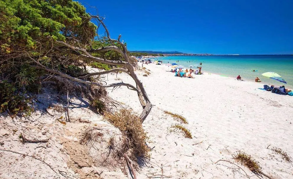 Appartamento a pochi passi dalla spiaggia Alghero 0*,  Italia